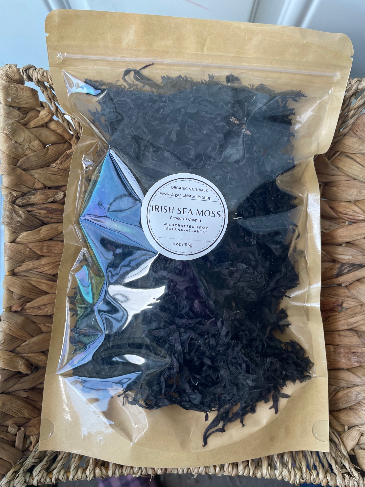 Irish Sea Moss / Chondrus Crispus
