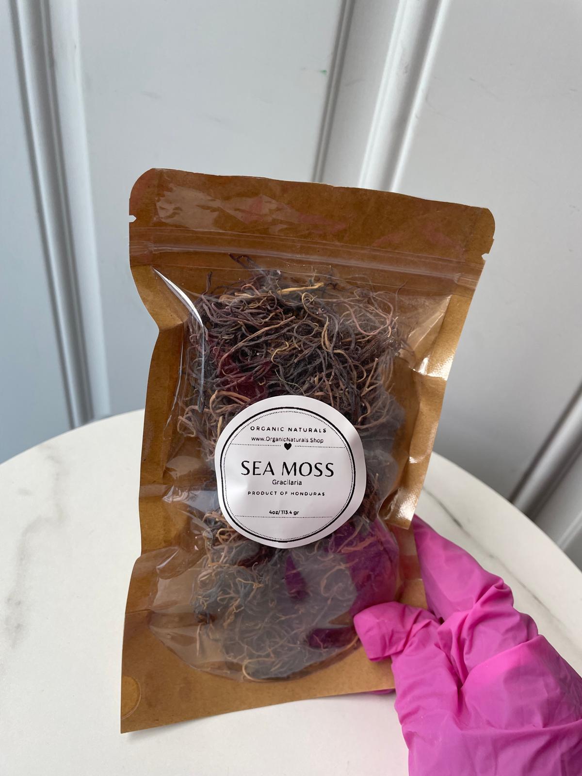 Rare Honduras Sea Moss