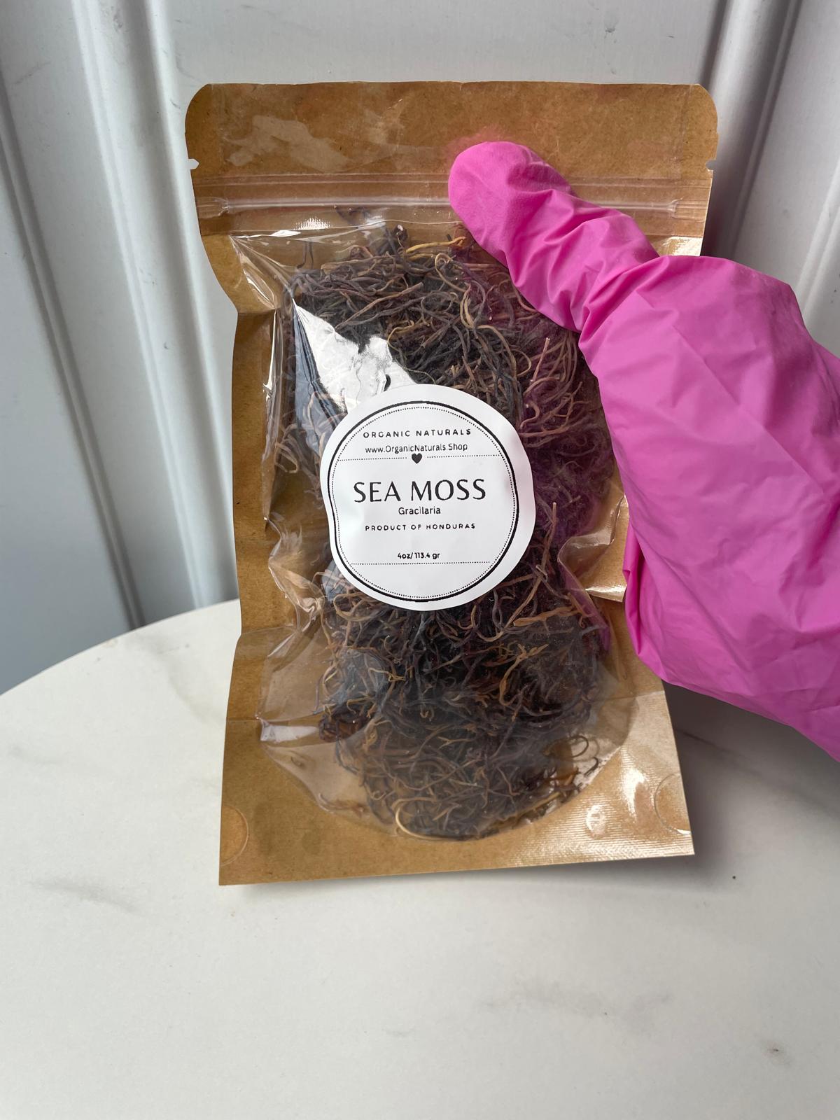 Rare Honduras Sea Moss